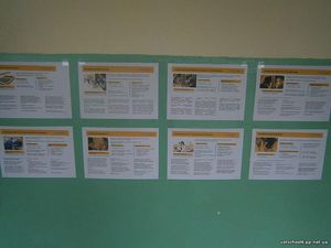Профорієнтаційна робота8
