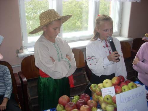 Шкільна ярмарка1