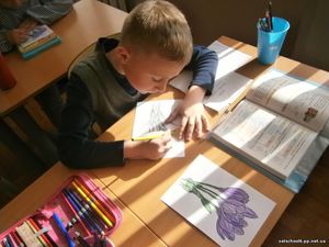 Збережемо першоцвіти8